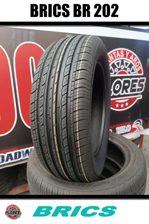 Vista principal de 195/65R15 91H BRICS BR-202 TL
